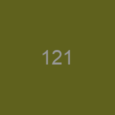 121