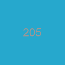 205