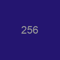 256