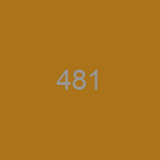 481