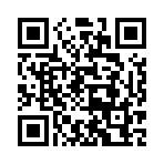 7810645281 7810645281