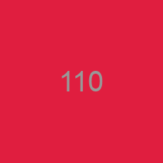 110