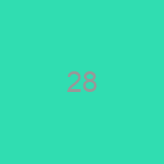 28