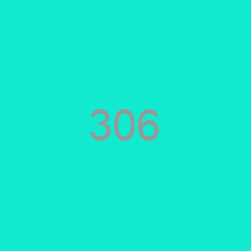 306