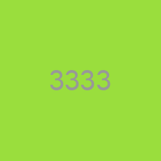 3333