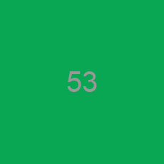 53