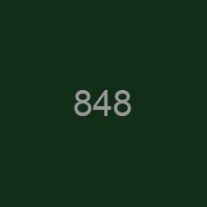 848