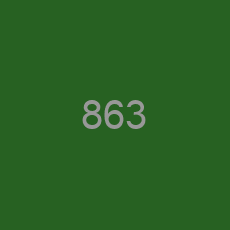 863
