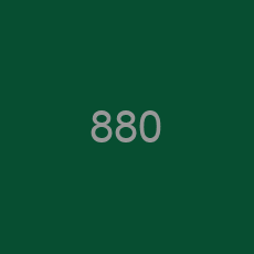 880