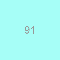 91