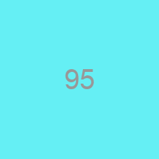 95