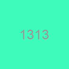 1313