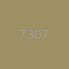 7307